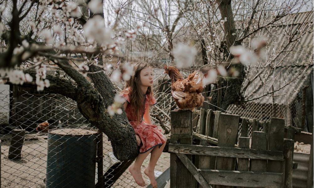 Вітаємо переможців обласного етапу Всеукраїнського конкурсу робіт юних фотоаматорів «Моя Україно!» – 2025!