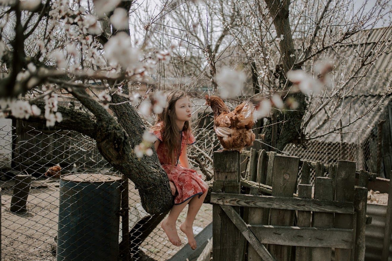 Вітаємо переможців обласного етапу Всеукраїнського конкурсу робіт юних фотоаматорів «Моя Україно!» – 2025!