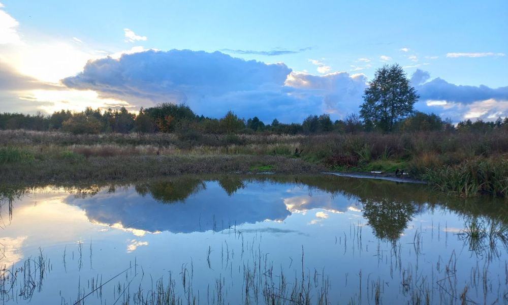 Підсумки обласного етапу Всеукраїнського конкурсу робіт юних фотоаматорів «Моя Україно!» – 2022